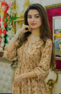 Escorts in Model Town Lahore